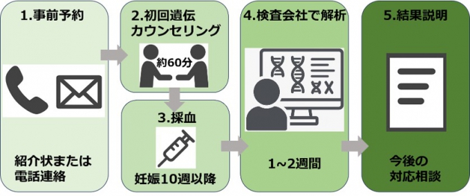 NIPT（非侵襲性出生前遺伝学的検査）外来受診の流れ