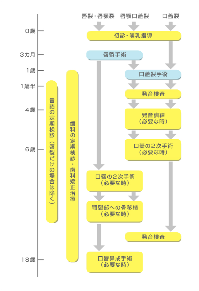 0歳～18歳まで 治療の流れ