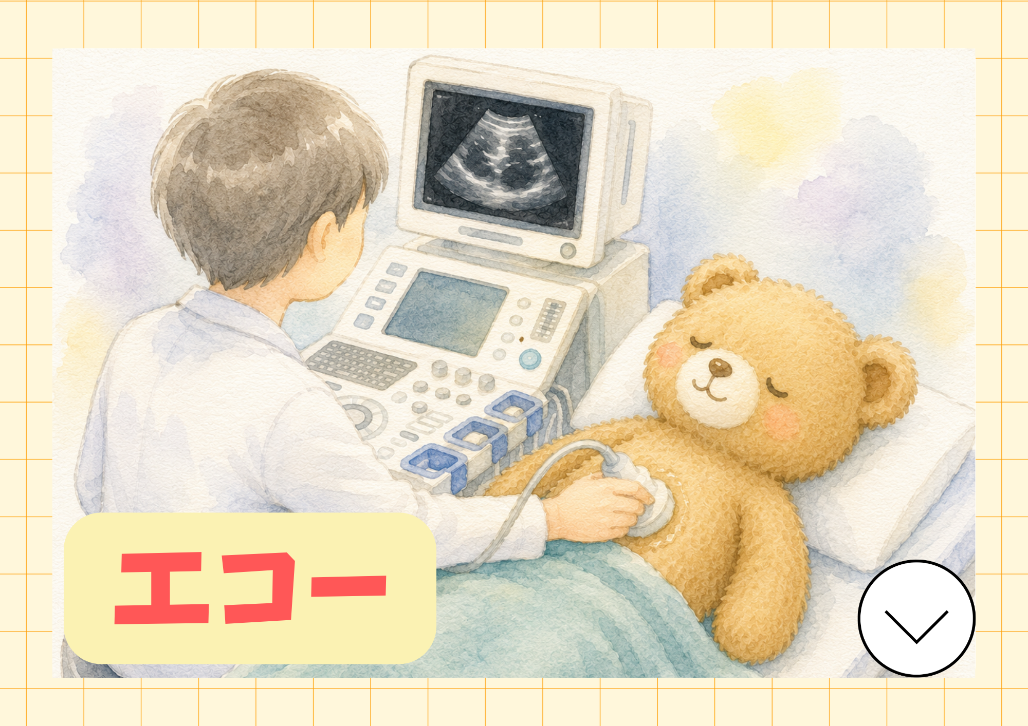 エコー