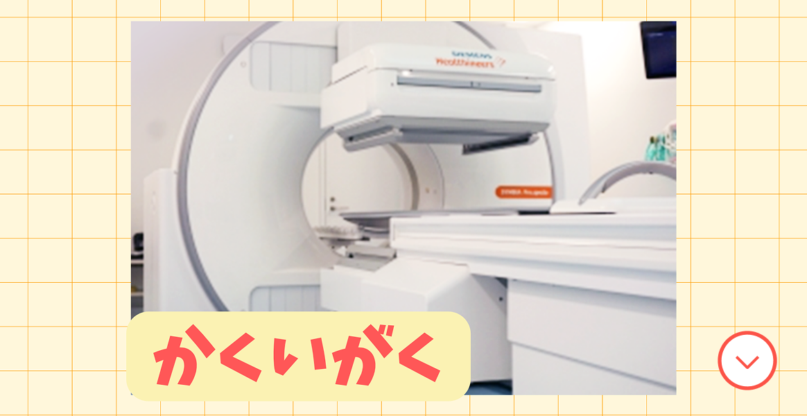 かくいがくけんさ