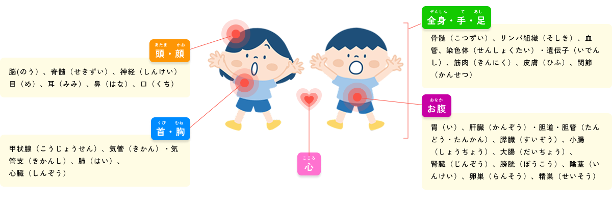 体の部位から探す