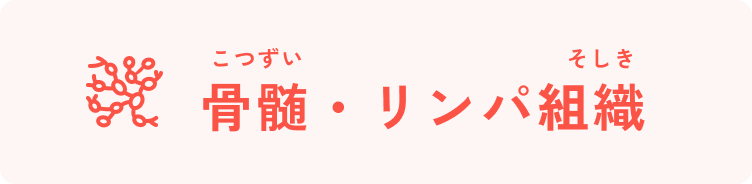 骨髄・リンパ組織