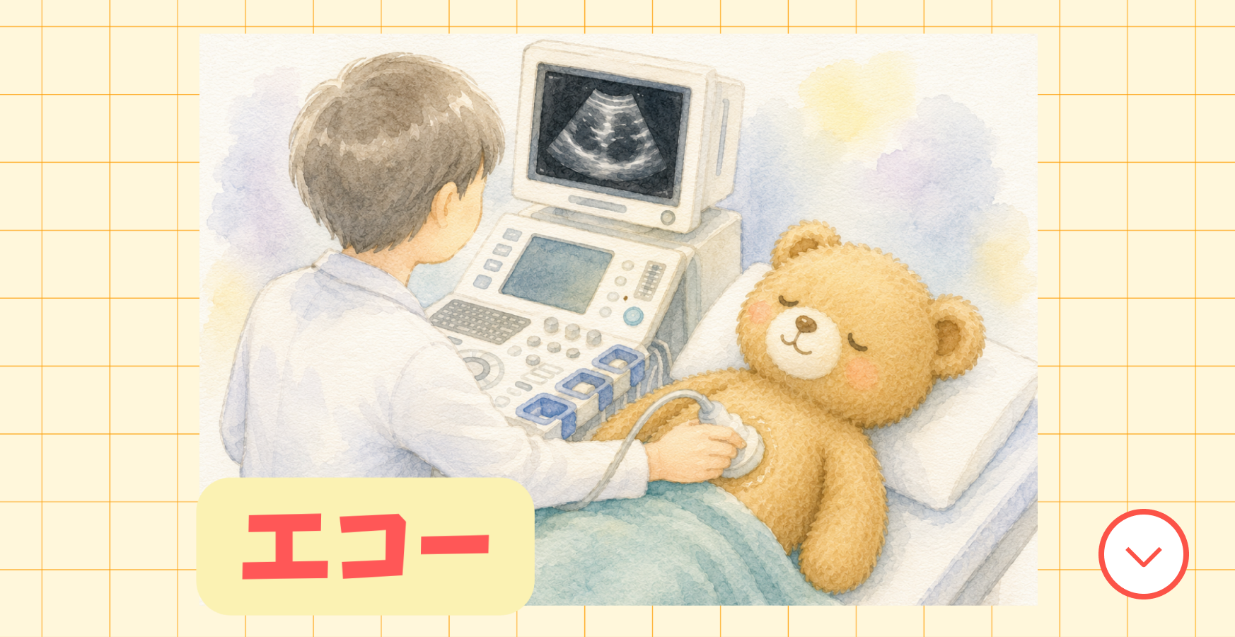 エコー