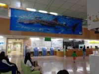 エントランスホールに展示されるジンベエザメタペストリー