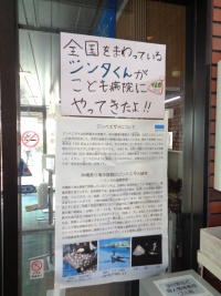 美ら海水族館ジンタくんの説明