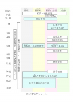 0歳～18歳まで 治療の流れ