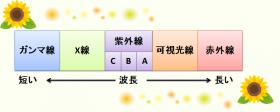 太陽光