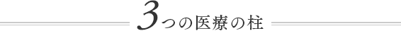 3つの医療の柱