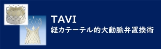 TAVI：経カテーテル的大動脈弁置換術