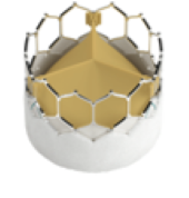 バルーン拡張型人工弁