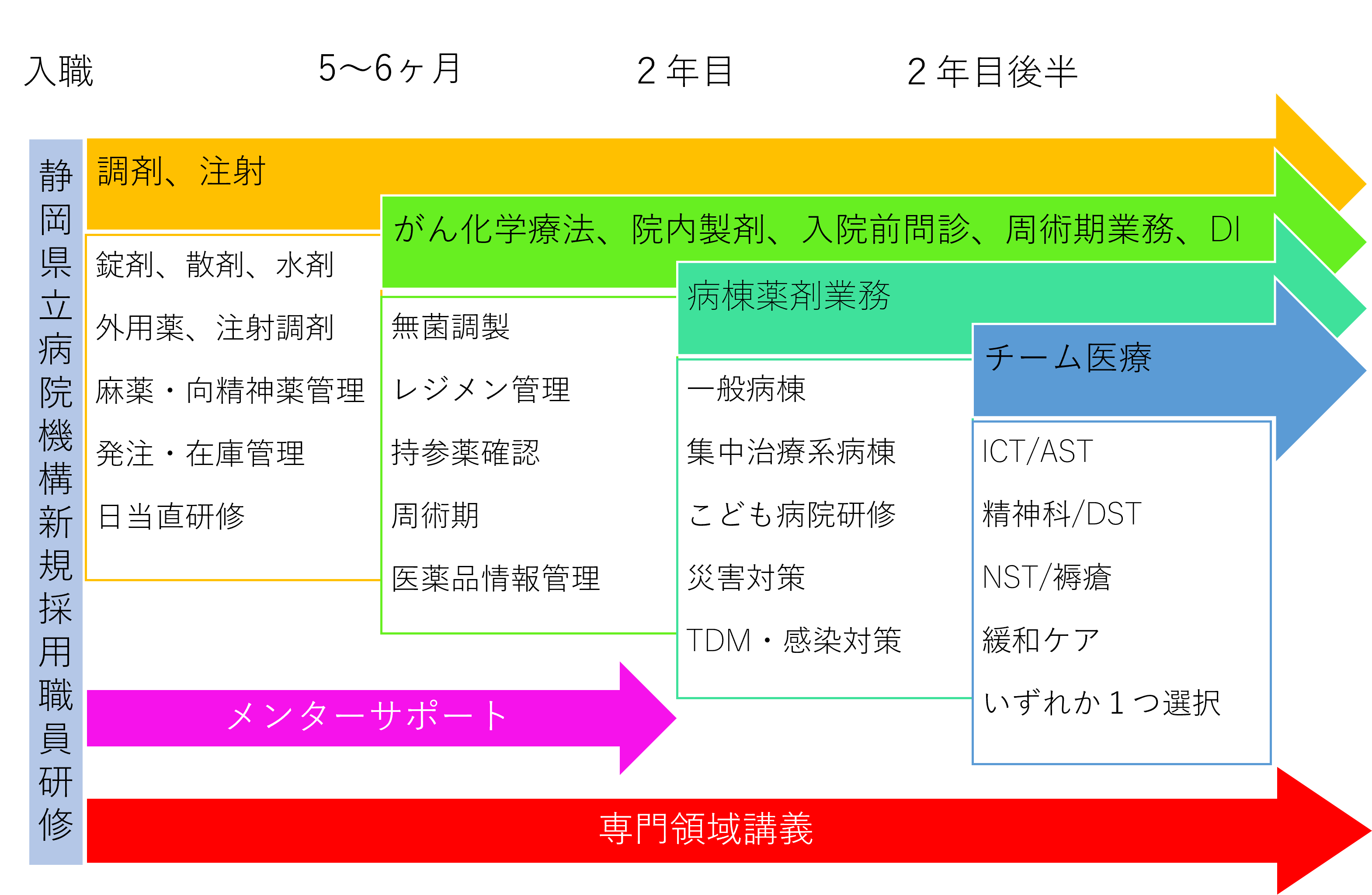 入職後1~2年目の研修スケジュール