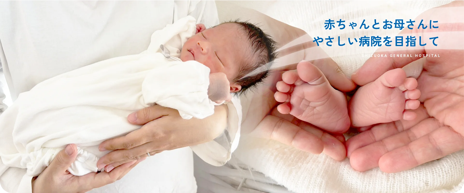 出産関する情報への画像リンク