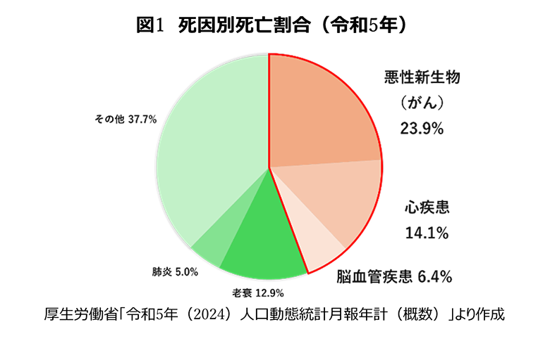 図1　死因別死亡割合（2023年）悪性新生物23.9％　心疾患14.1％　脳血管疾患6.4％　老衰12.9％　肺炎5.0％　その他37.9％　厚生労働省「2023年人口動態統計月報年計（概数）」より作成