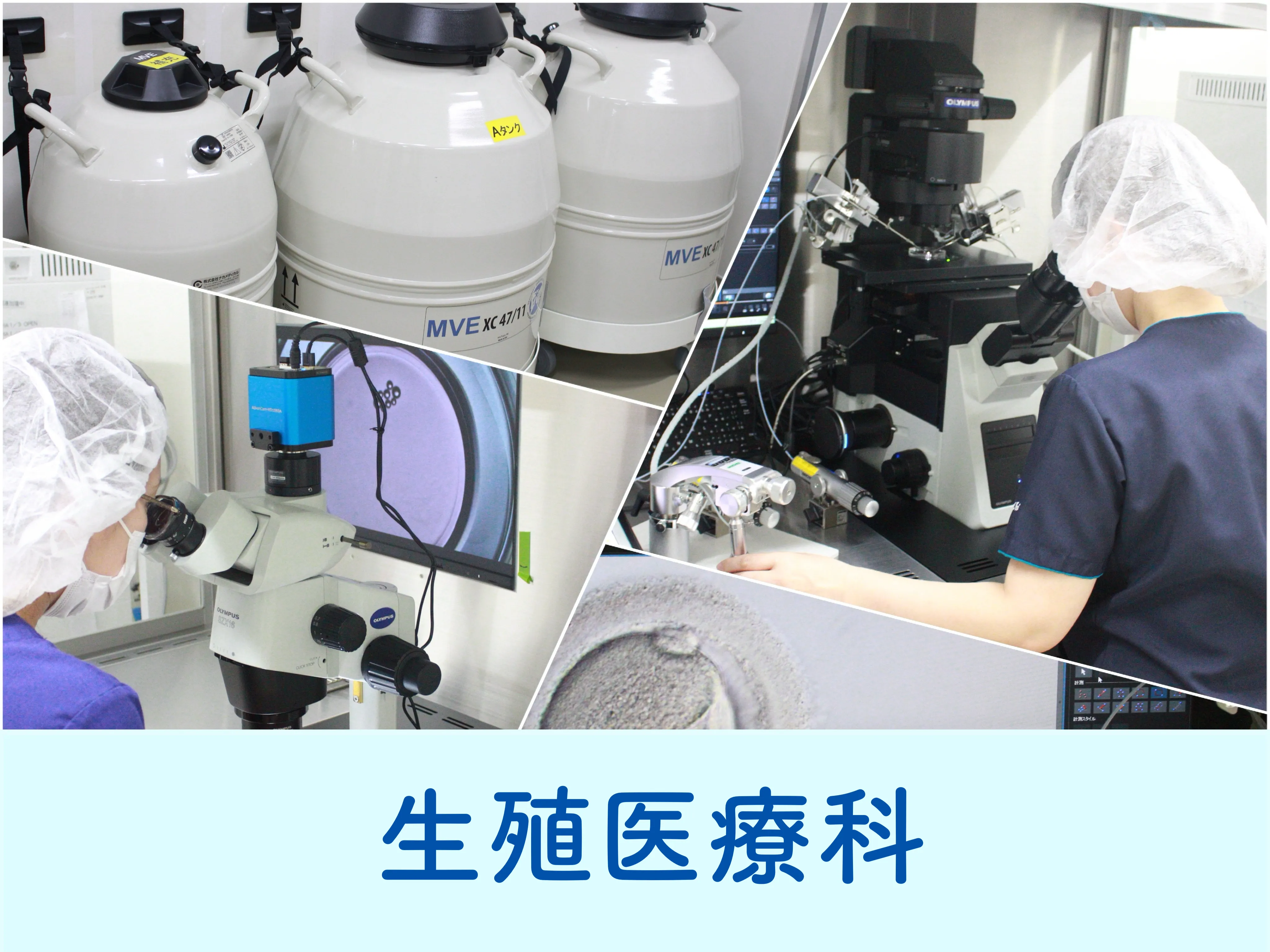 生殖医療科